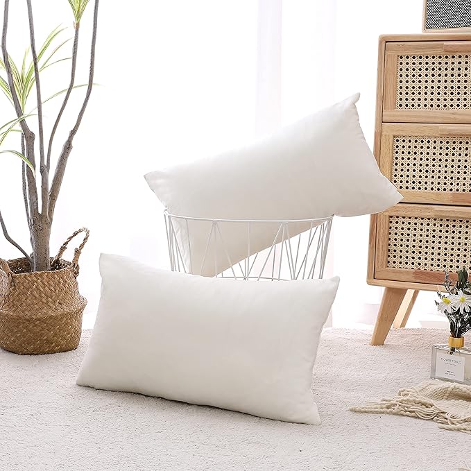 NiNi ALL Decorative Throw Pillow Covers Velvet 20x30 Inch Pack of 2 Cream White Cushion Covers Soft for Couch Sofa Bedroom Living Room Outdoor