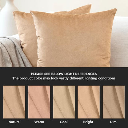 Encasa XO Velvet Throw Pillow Covers 16x16 in (40x40 cm) - Gold - No Inserts, Pack of 2 Cases | Solid Plain Dyed Soft & Smooth, Square Decorative Cushion Covers for Living & Bedroom