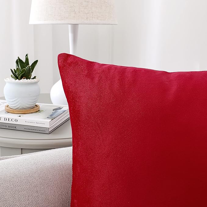 NiNi ALL Decorative Throw Pillow Covers Velvet 28x28 Inch Pack of 2 Red Cushion Covers Soft for Couch Sofa Bedroom Living Room Outdoor