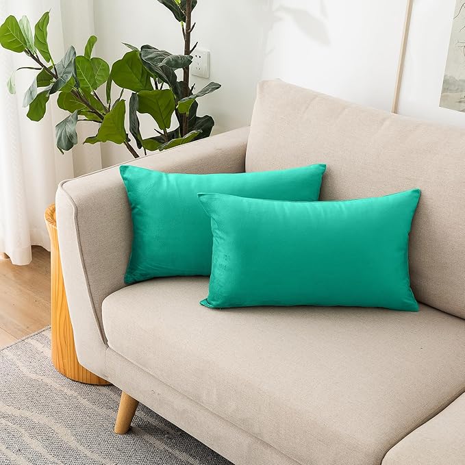 NiNi ALL Decorative Throw Pillow Covers Velvet 12x20 Inch Pack of 2 Aqua Green Cushion Covers Soft for Couch Sofa Bedroom Living Room Outdoor