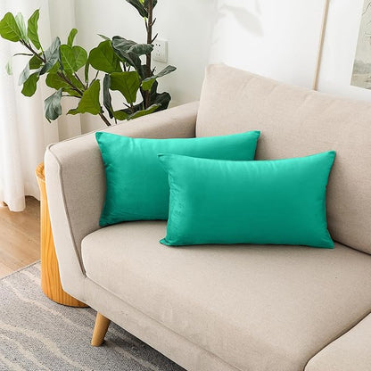 NiNi ALL Decorative Throw Pillow Covers Velvet 12x20 Inch Pack of 2 Aqua Green Cushion Covers Soft for Couch Sofa Bedroom Living Room Outdoor