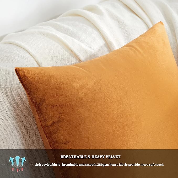 GIGIZAZA Decorative Throw Pillow Covers for Sofa,Cinnamon Burnt Orange Velvet Bed 2 Pack Soft Cushion Cover