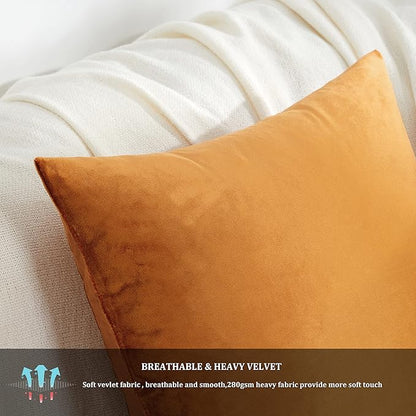 GIGIZAZA Decorative Throw Pillow Covers for Sofa,Cinnamon Burnt Orange Velvet Bed 2 Pack Soft Cushion Cover