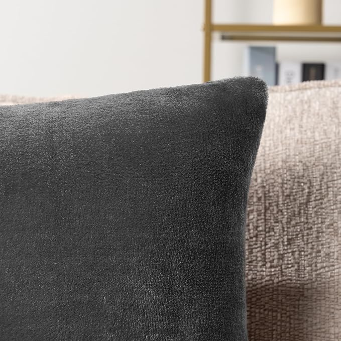 PAVILIA Dark Gray Throw Pillow Covers 20x20 Set of 2, Decorative Pillow Cases for Bed Sofa Couch, Boho Aesthetic Accent Decor Cushion for Bedroom Living Room, Velvet Square Euro Sham Covers, Dark Grey