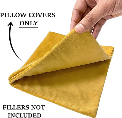 RELY+ Pack of 2 Throw Pillow Covers 16x16 Inch Velvet Soft Cozy Solid Decoration Gifts Pillow Covers Luxury Cushion Case for Sofa Couch Bedroom Living Room (Gold, 18 X 18)