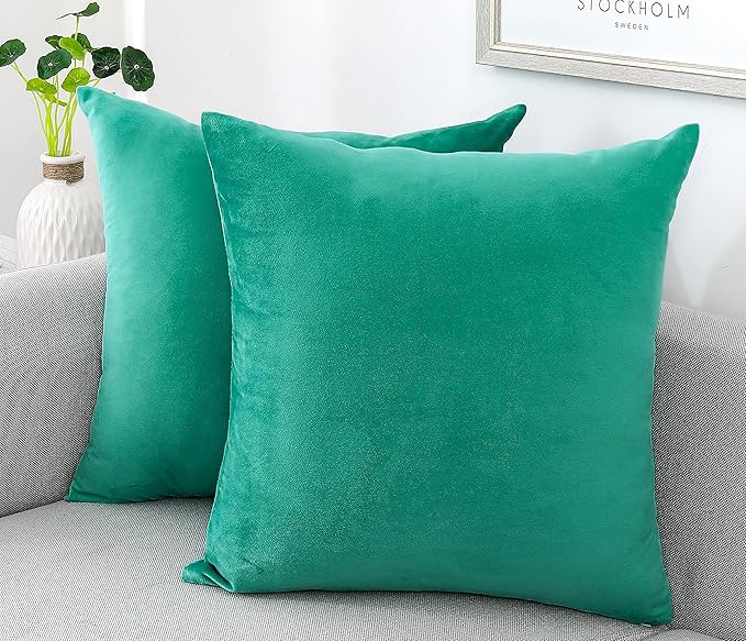 NiNi ALL Decorative Throw Pillow Covers Velvet Soft for Couch Sofa Bedroom Living Room Outdoor Pack of 2 18x18 Inch Aqua Green