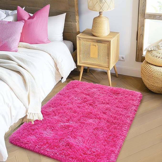 Small Rugs for Bedroom, Fuzzy Throw Rug for Living Room Dorm, Soft Fluffy Bedroom Rug, Non Slip Shag Rugs, Modern Indoor Home Decor Aesthetic, 2x3 Feet, Hot Pink