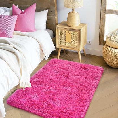 Small Rugs for Bedroom, Fuzzy Throw Rug for Living Room Dorm, Soft Fluffy Bedroom Rug, Non Slip Shag Rugs, Modern Indoor Home Decor Aesthetic, 2x3 Feet, Hot Pink