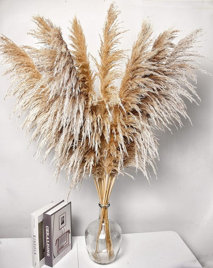 Natural Pampas Grass Decor Tall, Pompas Grass, Tall Pampas Grass for Weddingm, Farmhouse, Boho Home Decor (Brown)