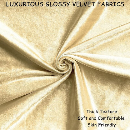 2 Pack 18x18 Pillow Cover Velvet Pillow Covers, Square Throw Pillow Covers for Living Room Decorations Throw Pillow Case, Throw Pillow Cover Cushion Cover for Home Sofa Bedroom Car, Champagne
