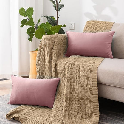 NiNi ALL Decorative Throw Pillow Covers Velvet 20x30 Inch Pack of 2 Dusty Pink Cushion Covers Soft for Couch Sofa Bedroom Living Room Outdoor