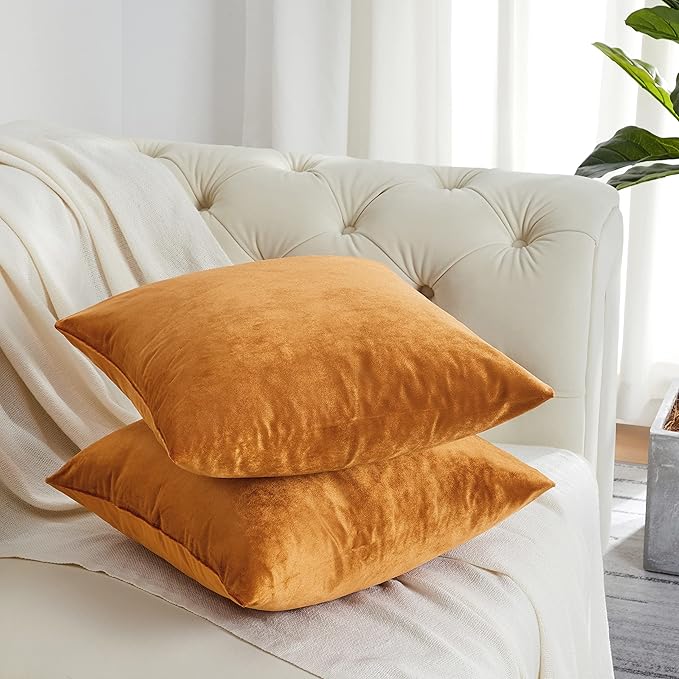 GIGIZAZA Decorative Throw Pillow Covers for Sofa,Cinnamon Orange Velvet Bed 2 Pack Soft Cushion Cover