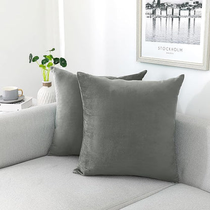 NiNi ALL Decorative Throw Pillow Covers Velvet 16x16 Inch Pack of 2 Grey Cushion Covers Soft for Couch Sofa Bedroom Living Room Outdoor