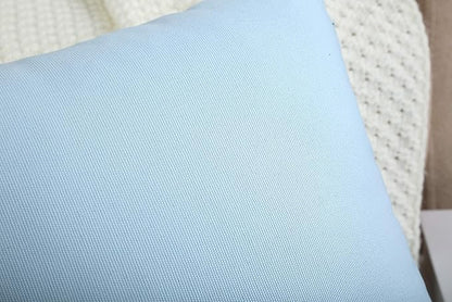 TangDepot Handmade Decorative Solid 100% Cotton Canvas Throw Pillow Covers/Cushion Covers, 45 Colors Available - (20" x20" , Light Blue, 2 Count (Pack of 1))