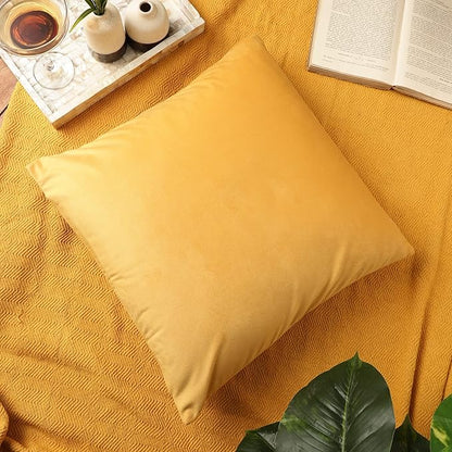 RELY+ Pack of 2 Throw Pillow Covers 16x16 Inch Velvet Soft Cozy Solid Decoration Gifts Pillow Covers Luxury Cushion Case for Sofa Couch Bedroom Living Room (Gold, 18 X 18)