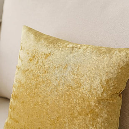 NiNi ALL Decorative Throw Pillow Covers Pack of 2, Velvet Throw Pillow Cases for Couch Pillows Cover Bedroom Living Room Outdoor Pillow Covers 20x20 Inch Gold