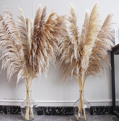 Natural Pampas Grass Decor Tall, Pompas Grass, Tall Pampas Grass for Weddingm, Farmhouse, Boho Home Decor (Brown)