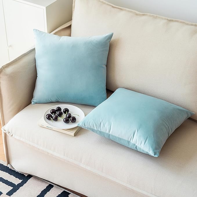 NiNi ALL Decorative Throw Pillow Covers Pack of 2, Velvet Throw Pillow Cases for Couch Pillows Cover Bedroom Living Room Outdoor Pillow Covers 20x20 Inch Baby Blue