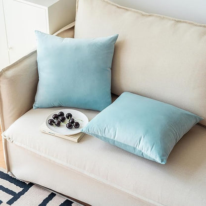 NiNi ALL Decorative Throw Pillow Covers Pack of 2, Velvet Throw Pillow Cases for Couch Pillows Cover Bedroom Living Room Outdoor Pillow Covers 24x24 Inch Baby Blue