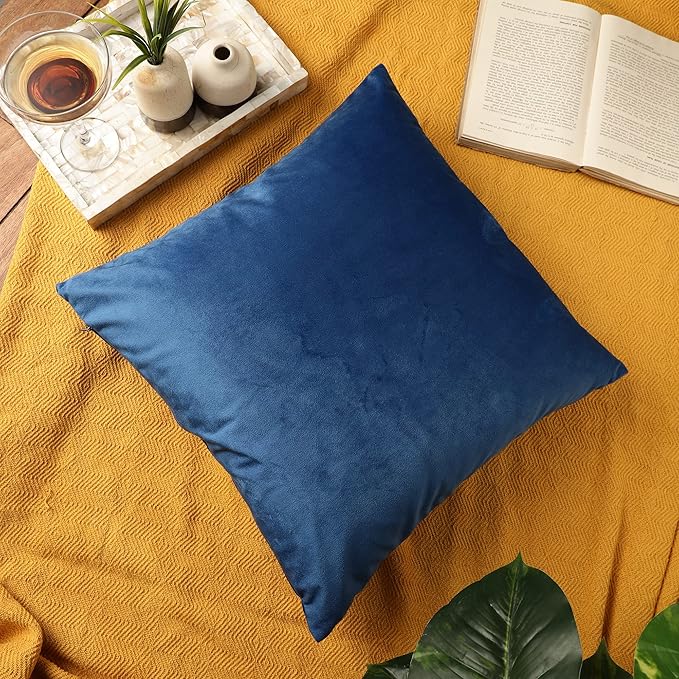 RELY+ Pack of 2 Throw Pillow Covers 16x16 Inch Velvet Soft Cozy Solid Decoration Gifts Pillow Covers Luxury Cushion Case for Sofa Couch Bedroom Living Room (Blue, 18 X 18)