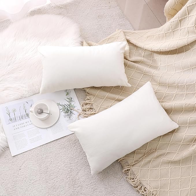 NiNi ALL Decorative Throw Pillow Covers Velvet 20x30 Inch Pack of 2 Cream White Cushion Covers Soft for Couch Sofa Bedroom Living Room Outdoor
