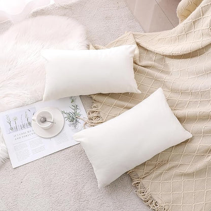 NiNi ALL Decorative Throw Pillow Covers Velvet 20x30 Inch Pack of 2 Cream White Cushion Covers Soft for Couch Sofa Bedroom Living Room Outdoor