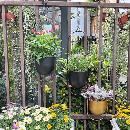 Metal Hanging Planters for Indoor and Outdoor Plants (Black)