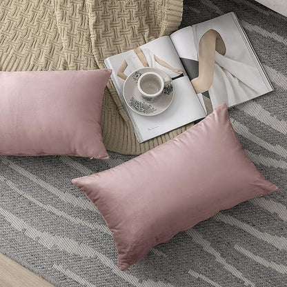 NiNi ALL Decorative Throw Pillow Covers Velvet 20x30 Inch Pack of 2 Dusty Pink Cushion Covers Soft for Couch Sofa Bedroom Living Room Outdoor