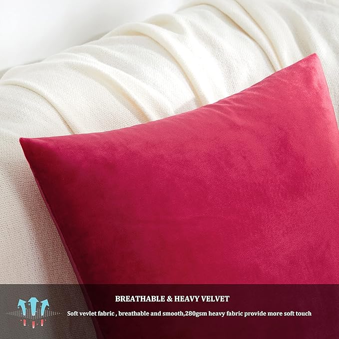 GIGIZAZA Decor Throw Couch Pillow Covers,Set of 2 Sofa Cushion Red Pillow Covers,Velvet Pillow Cases 24 x 24inch