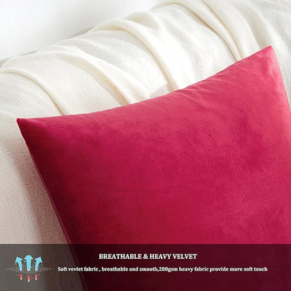 GIGIZAZA Decor Throw Couch Pillow Covers,Set of 2 Sofa Cushion Red Pillow Covers,Velvet Pillow Cases 24 x 24inch