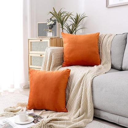 NiNi ALL Decorative Throw Pillow Covers Velvet 24x24 Inch Pack of 2 Orange Cushion Covers Soft for Couch Sofa Bedroom Living Room Outdoor