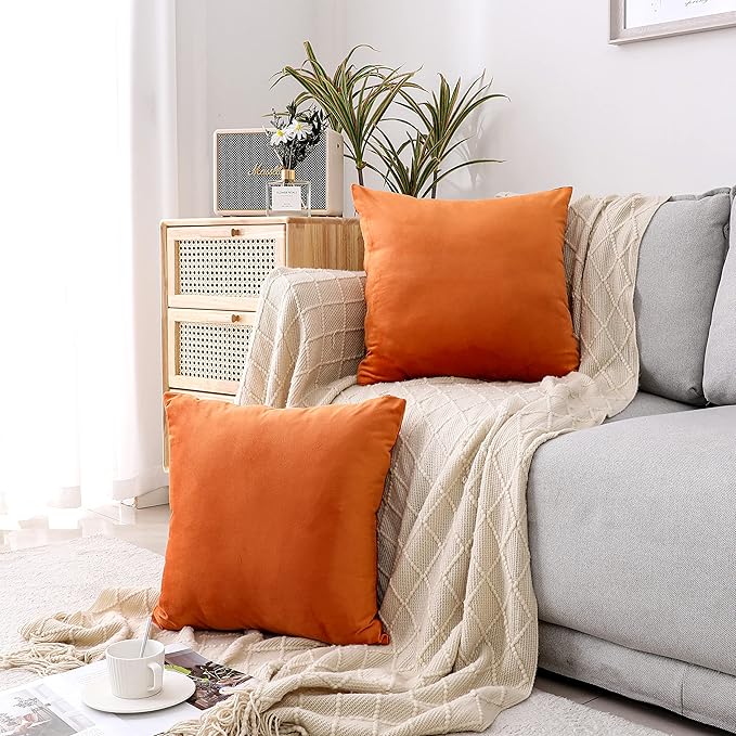NiNi ALL Decorative Throw Pillow Covers Pack of 2, Halloween Velvet Cushion Case for Couch Bedroom Living Room Outdoor, Pillow Covers 20x20 Inch（50 x 50 cm） Orange