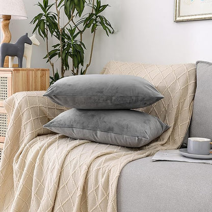 NiNi ALL Decorative Throw Pillow Covers Pack of 2, Velvet Throw Pillow Cases for Couch Pillows Cover Bedroom Living Room Outdoor, Pillow Covers 12x20 Inch Grey