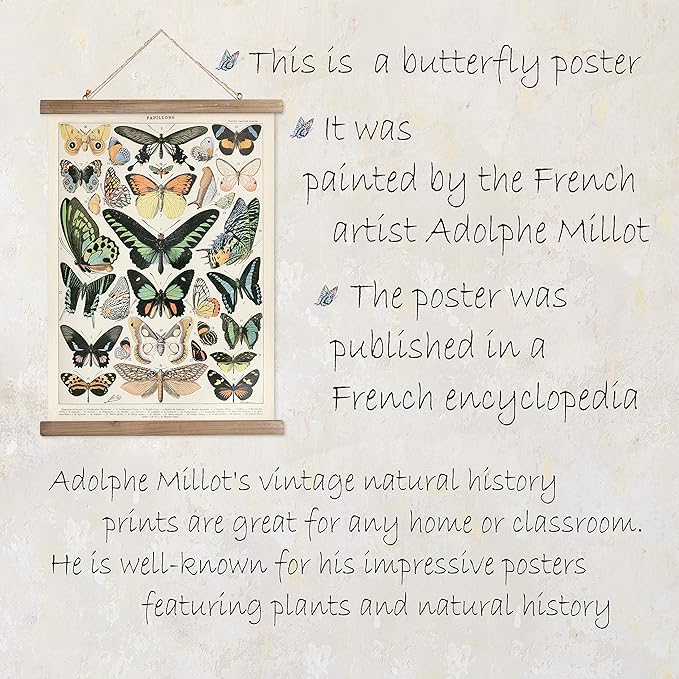 XIAOAIKA Vintage Butterfly Hanging Poster with Wooden Frame, Retro Style Wall Decor Art Painting, Patterns Printed on Linen Without Fading, Ready to Hang (20 x 30)