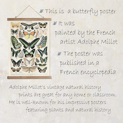 XIAOAIKA Vintage Butterfly Poster Hanger Frame, Cottagecore Room Decor Aesthetic, Retro Style Wall Decor Art Painting, Patterns are Printed on Linen Without Fading (16 x 23 inches)
