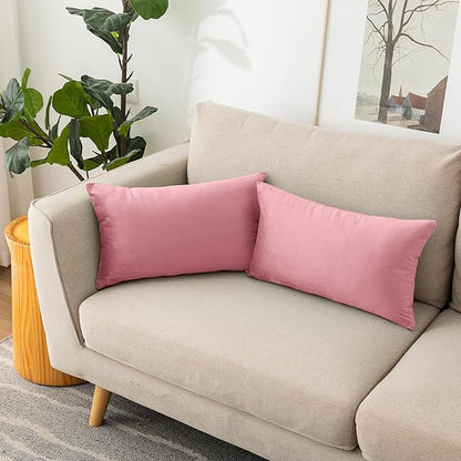 NiNi ALL Decorative Throw Pillow Covers Velvet 20x30 Inch Pack of 2 Pink Cushion Covers Soft for Couch Sofa Bedroom Living Room Outdoor