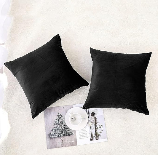 NiNi ALL Decorative Throw Pillow Covers Pack of 2, Velvet Throw Pillow Cases for Couch Pillows Cover Bedroom Living Room Outdoor, Pillow Covers 16x16 Inch, Black