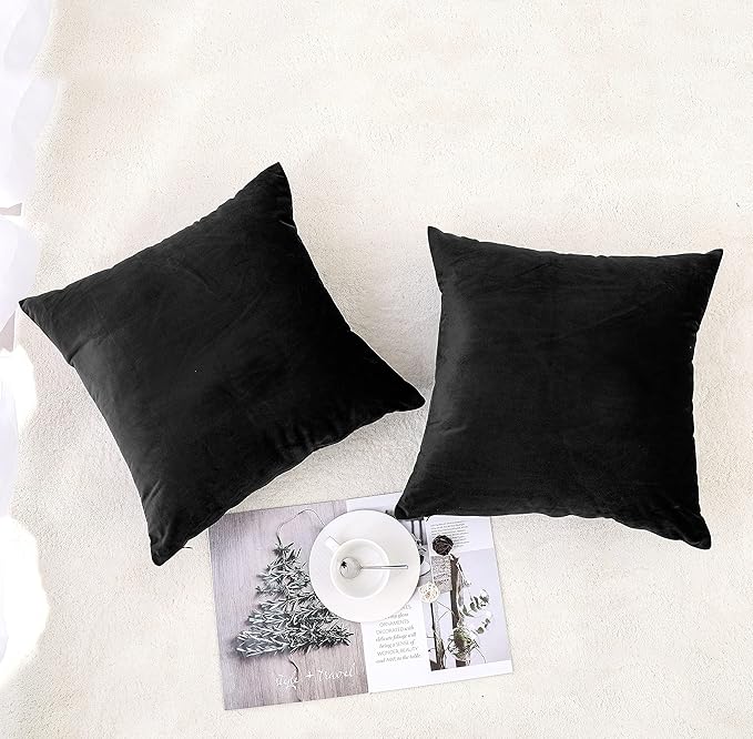 NiNi ALL Decorative Throw Pillow Covers Pack of 2, Velvet Throw Pillow Cases for Couch Pillows Cover Bedroom Living Room Outdoor, Pillow Covers 24x24 Inch Black