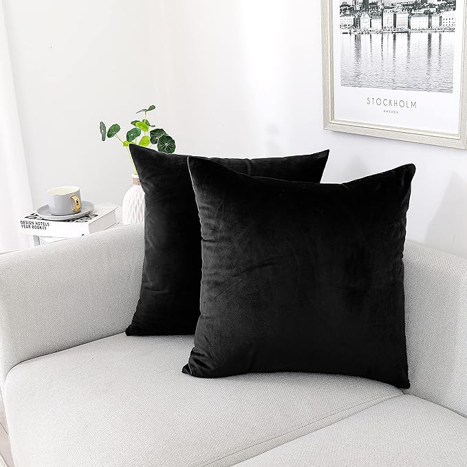 NiNi ALL Decorative Throw Pillow Covers Pack of 2, Velvet Throw Pillow Cases for Couch Pillows Cover Bedroom Living Room Outdoor, Pillow Covers 16x16 Inch, Black