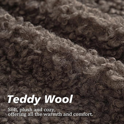 Foindtower Set of 2 Curly Teddy Wool Pillow Covers Decorative Boucle Textured Lumbar Throw Pillow Faux Fur Pillowcases Sheepskin Cushion Case for Sofa Bedroom Car 12"x20" Chocolate