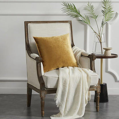 GIGIZAZA Golden Throw Pillow Covers 22x22 Decorative Velvet Cushion Covers Pack of 2 Pillowcase for Sofa
