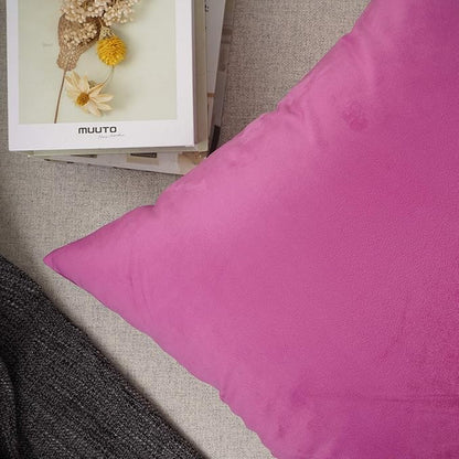 YOUR SMILE Pack of 2 Velvet Pure Color Pillow Covers Decorative Square Pillowcase Soft Solid Cushion Case for Sofa Bedroom Car (Pink, 12''x20'')