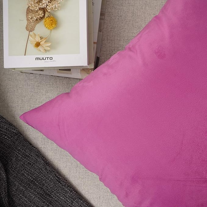 YOUR SMILE Pack of 2 Velvet Pure Color Pillow Covers Decorative Square Pillowcase Soft Solid Cushion Case for Sofa Bedroom Car (Pink, 18''x18'')