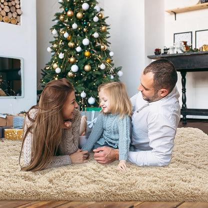 Small Rugs for Bedroom, Fuzzy Throw Rug for Living Room Dorm, Soft Fluffy Bedroom Rug, Non Slip Shag Rugs, Modern Indoor Home Decor Aesthetic, 2x3 Feet, Camel