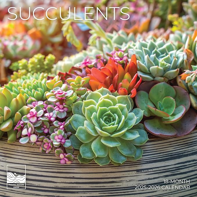 2026 Succulents Wall Calendar 18 Month | 12" x 24" Open | Giftable Flowers Calendar 2026 | Thick & Sturdy Paper for Organizing & Planning | Pacific Waters Press (Succelents)