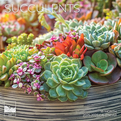 2026 Succulents Wall Calendar 18 Month | 12" x 24" Open | Giftable Flowers Calendar 2026 | Thick & Sturdy Paper for Organizing & Planning | Pacific Waters Press (Succelents)