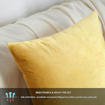 GIGIZAZA Yellow Velvet Decorative Throw Pillow Covers 20x20 inch for Sofa Bed 2 Pack Soft Cushion Cover