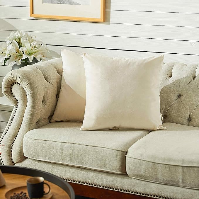 FY FIBER HOUSE Pack of 2 Velvet Throw Pillow Covers Decorative Square Pillowcase Soft Solid Cushion Case for Sofa/Couch Use, 18 x 18 Inch White