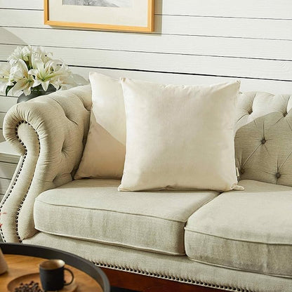 FY FIBER HOUSE Pack of 2 Velvet Throw Pillow Covers Decorative Square Pillowcase Soft Solid Cushion Case for Sofa/Couch Use, 18 x 18 Inch White