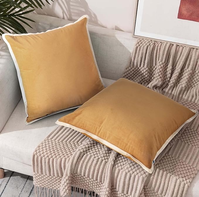FINGERCRAFT Decorative Throw Pillow Cover Pack of 2 Soft Velvet Cushion Cover, Sofa and Bedroom Pillow Case 22" x 22" Beige